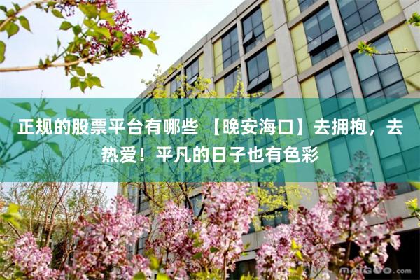正规的股票平台有哪些 【晚安海口】去拥抱，去热爱！平凡的日子也有色彩