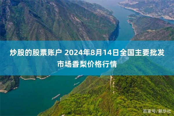 炒股的股票账户 2024年8月14日全国主要批发市场香梨价格行情