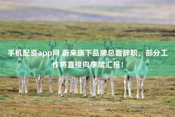 手机配资app网 蔚来旗下品牌总裁辞职，部分工作将直接向李斌汇报！