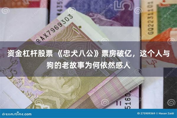 资金杠杆股票 《忠犬八公》票房破亿，这个人与狗的老故事为何依然感人