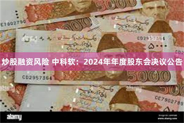 炒股融资风险 中科软：2024年年度股东会决议公告