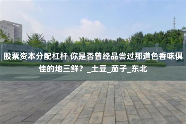 股票资本分配杠杆 你是否曾经品尝过那道色香味俱佳的地三鲜？_土豆_茄子_东北