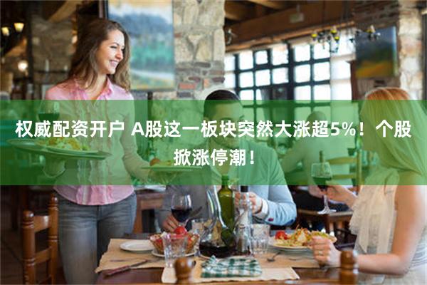 权威配资开户 A股这一板块突然大涨超5%！个股掀涨停潮！