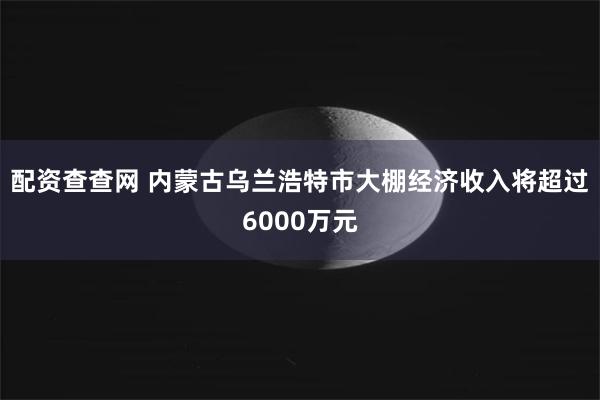配资查查网 内蒙古乌兰浩特市大棚经济收入将超过6000万元