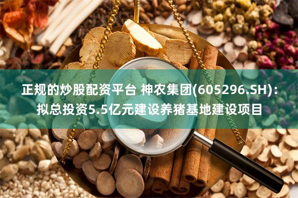 正规的炒股配资平台 神农集团(605296.SH)：拟总投资5.5亿元建设养猪基地建设项目