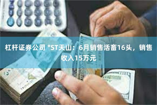 杠杆证券公司 *ST天山：6月销售活畜16头，销售收入15万元