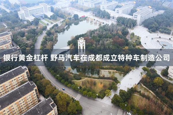 银行黄金杠杆 野马汽车在成都成立特种车制造公司