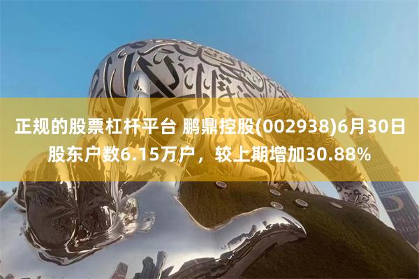 正规的股票杠杆平台 鹏鼎控股(002938)6月30日股东户数6.15万户，较上期增加30.88%